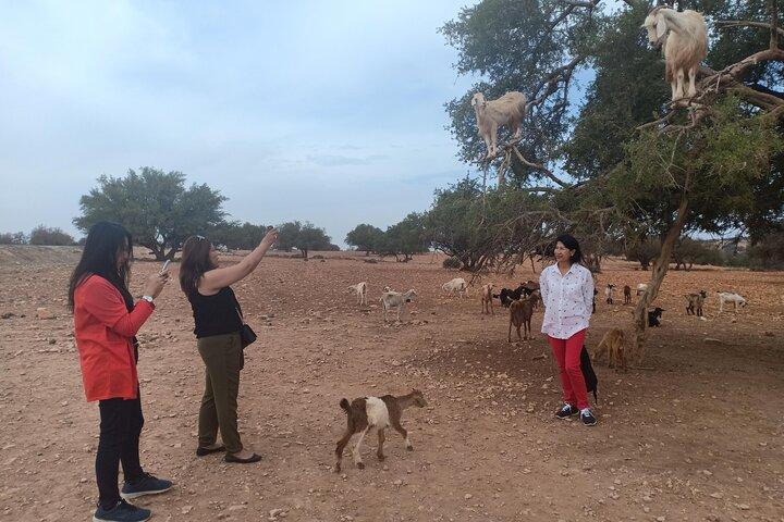 Viagem diurna a Essaouira saindo de Marrakech
