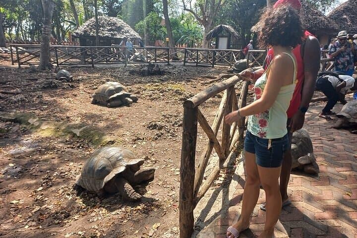 Prison Island and Stone Town Private Tour