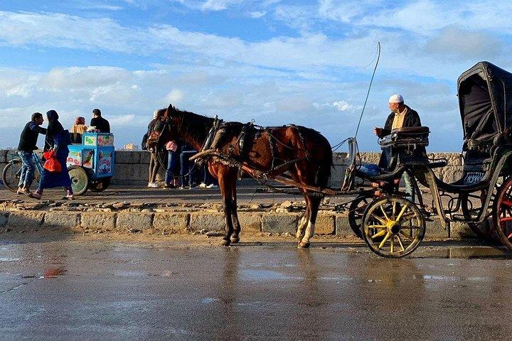 馬車と無料ウォーキング ツアーによるアレクサンドリアのプライベート ナイト ツアー