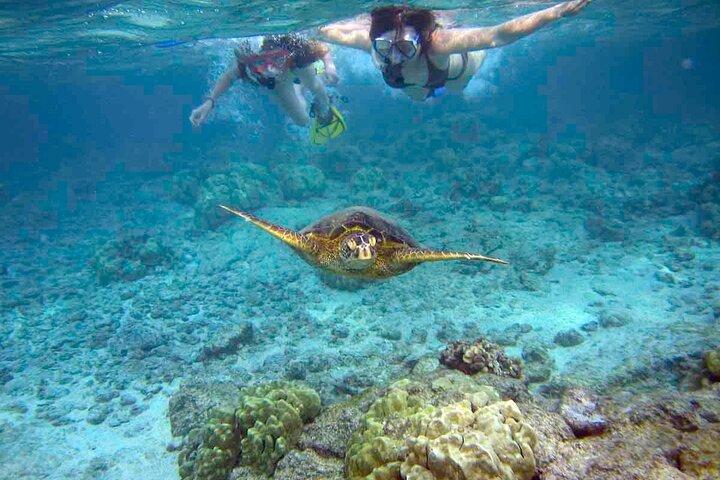 Snorkelervaring in de baai van Santa Maria per boot