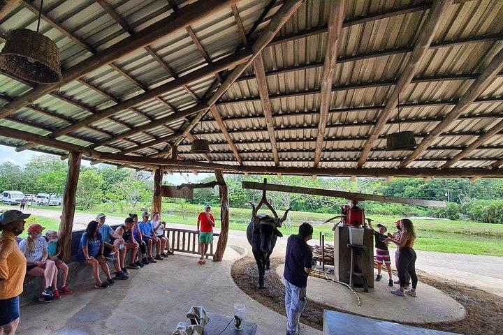 Mega Combo,Zipline,WaterSlide,mudbath,hotsprings,cultural tour.