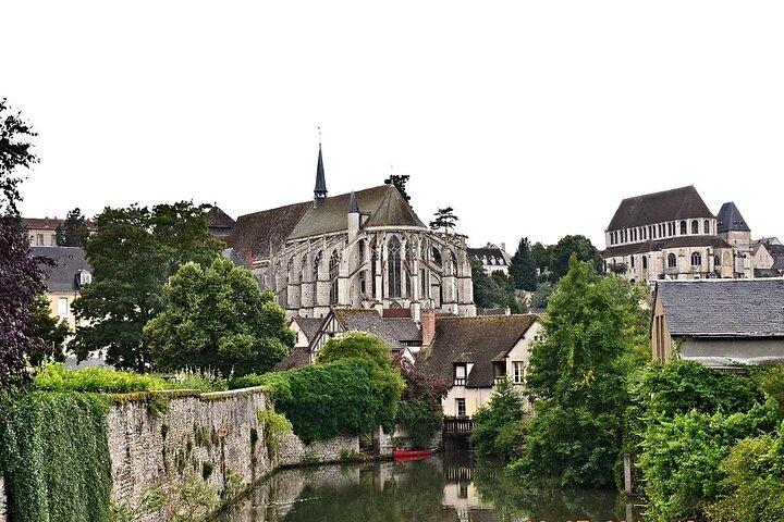 Chartres Cathedral Private Tour from Paris