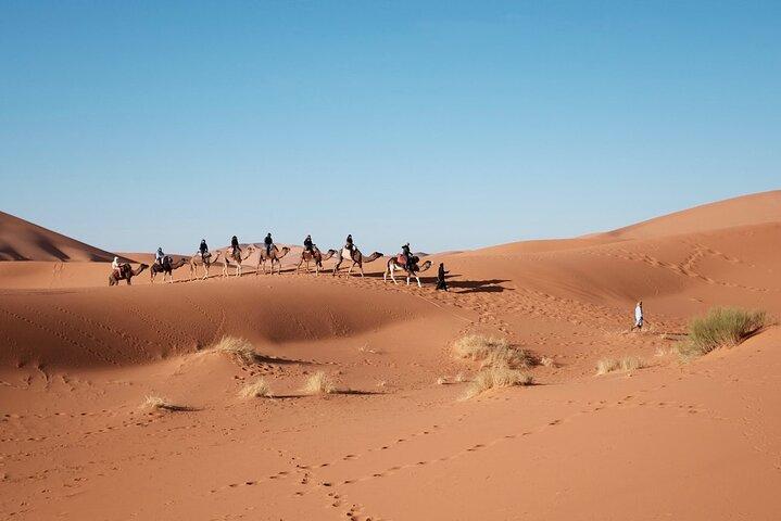 Tour privato del deserto di Marrakech a Fez