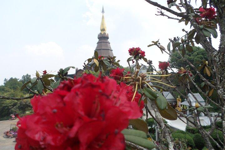 Hoteller i nærheden af Doi Inthanon National Park & Trekking on Kew Mae Pan