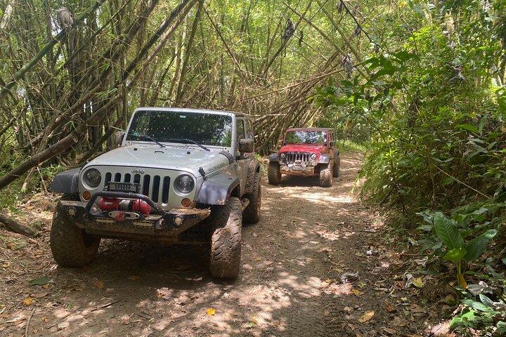 Aventura en jeep todoterreno desde Carolina