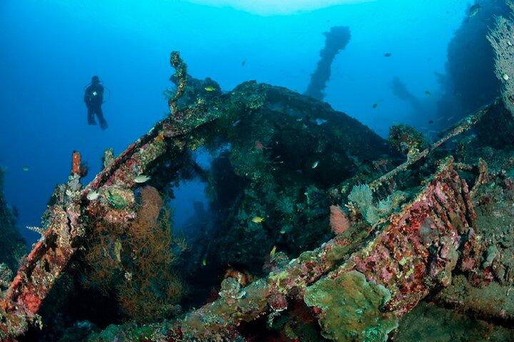 Full Day Fun Diving at Tulamben All inclusive