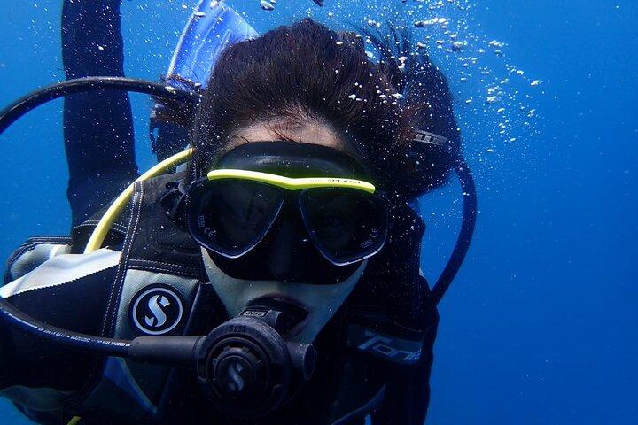 Full Day Fun Diving at Tulamben All inclusive