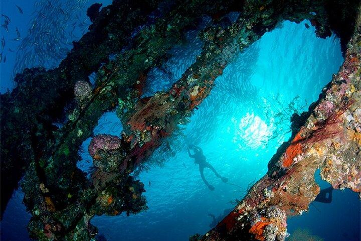 Full Day Fun Diving at Tulamben All inclusive