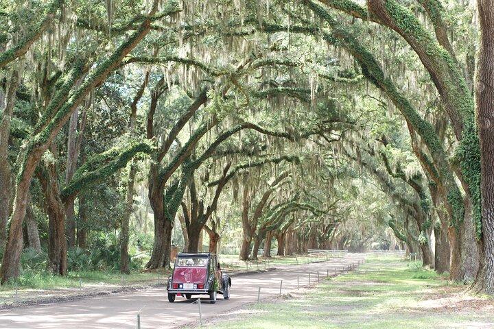 Privat historisk Savannah-tur i en vintage Citroën