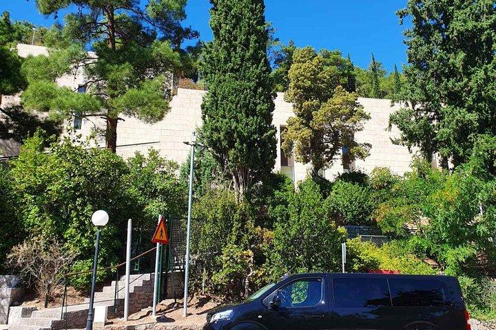 Delphi Private Day Tour da Atene