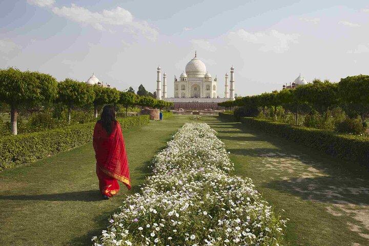 Tour privado de día completo al Taj Mahal al amanecer y Mehtab Bagh al atardecer.