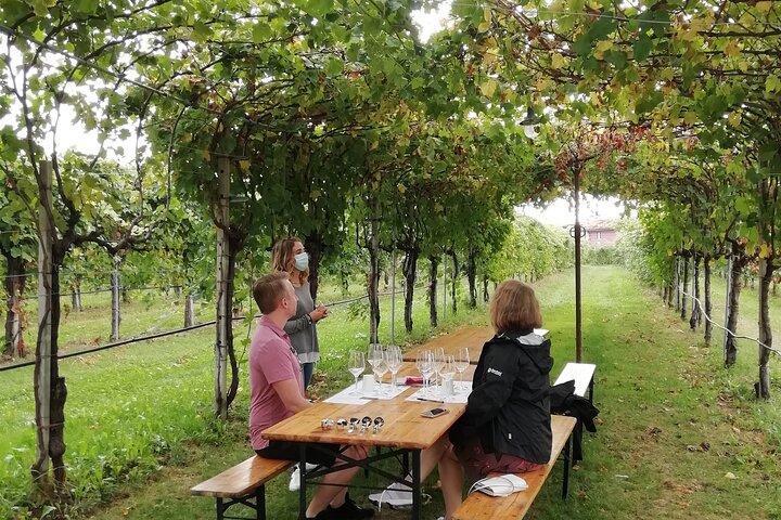 Tour de vinho de dia inteiro e degustação na região de Prosecco