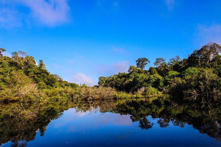 Exploring The Amazon 3D/2N At Amazon Peacock Paradise Ecolodge
