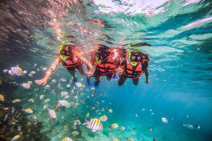 CATAMARÁN a Isla Mujeres, Snorkel y Club de Playa por Xcaret