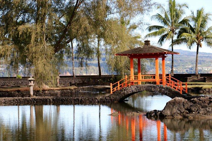 Hilo Shore Excursion: vulcano attivo, tubo di lava, cascata e giardini