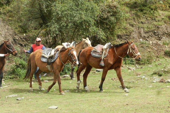Humantay Lake Tour from cusco