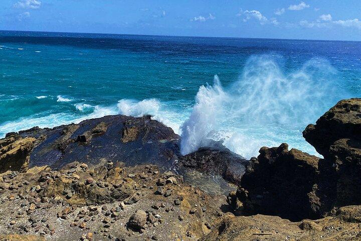 オアフ島体験とノースショア（小グループツアー）