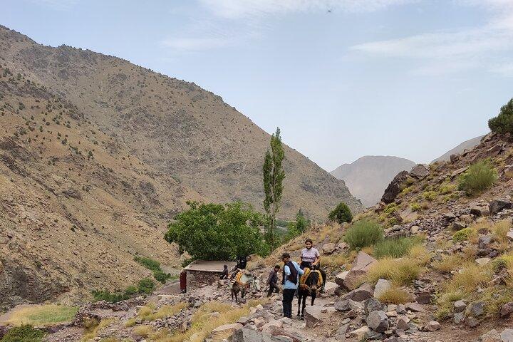 day trip to atlas mountains ourika valley & waterfall