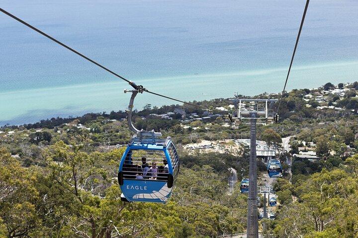 Mornington Peninsula Tour inc chairlift,beach boxes,lunch,choc tasting and more