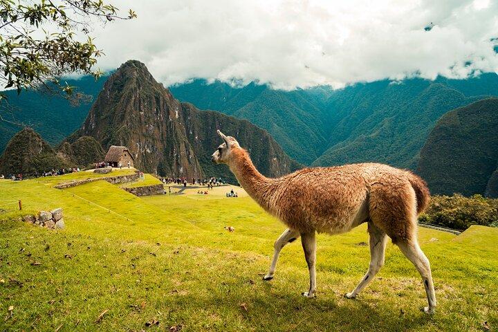 Sacred Valley Machu Picchu Tour (2 dage)