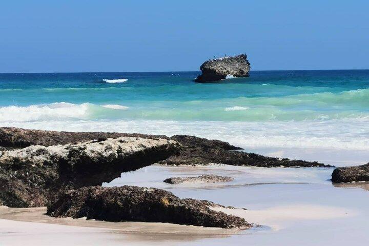 Halvdag: Hvor havet møder klippen: Rejsen til West Salalah's Shores