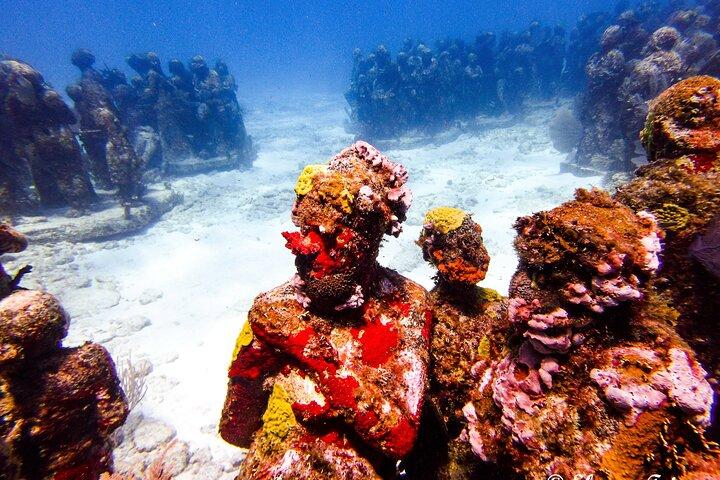 MUSA Museum e Colorful Reef 2 Tank Dive-Certified Divers