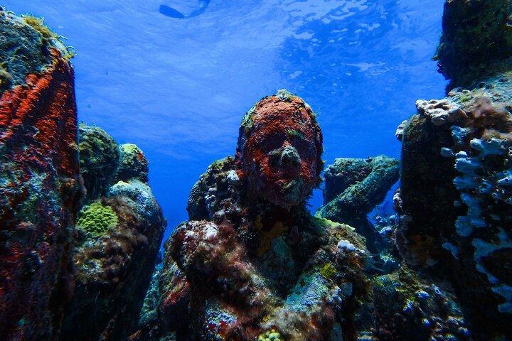 MUSA Museum e Colorful Reef 2 Tank Dive-Certified Divers