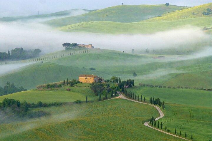 Excursão guiada privada de dia inteiro na região de Val d'Orcia a partir de Florença