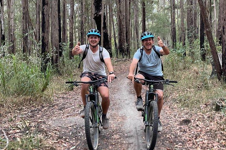 ヌーサ eMtn バイク ツアー : 楽しい MTB トレイルで国立公園を探索