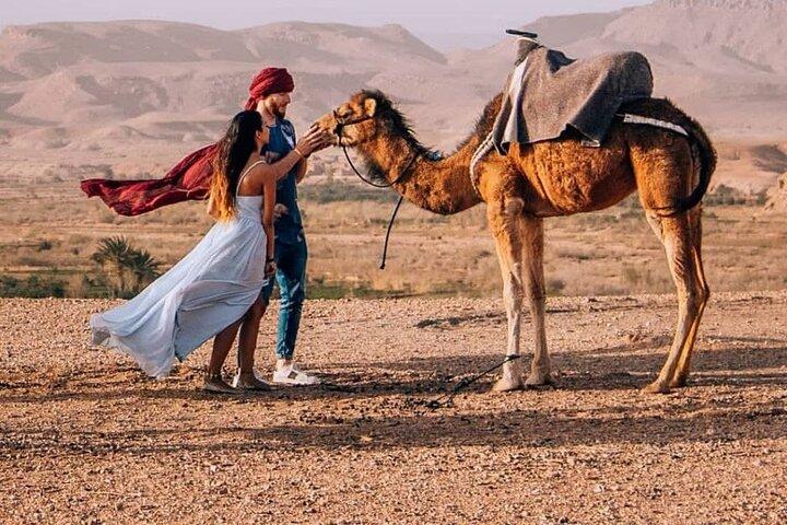 8D Morocco Luxury Private Tour From Casablanca By Imperial Cities