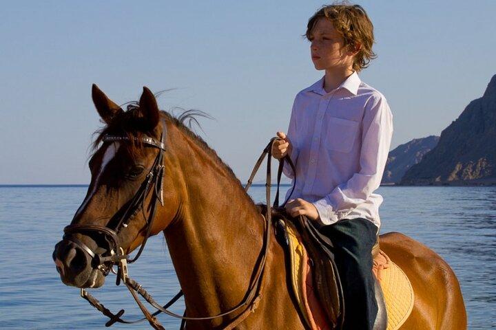 ラグナビーチのダハブで馬でアドベンチャーサファリ