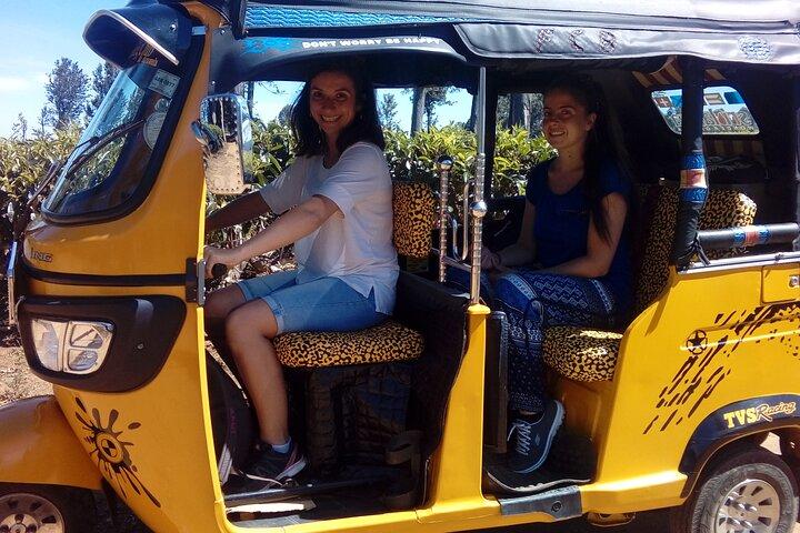 Safari in TukTuk nella piantagione di tè e spezie, punti panoramici, cascate di Diyaluma superiori,