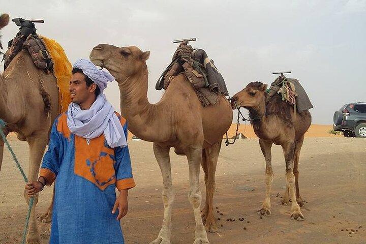 4-dages Sahara Desert Private Tour fra Fes til Marrakech via Merzouga