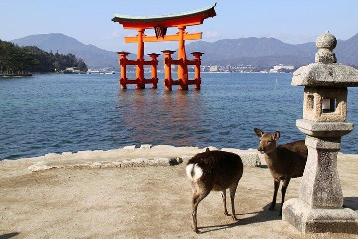 Hiroshima e Miyajima Tour privato di 1 giorno da Kyoto o Osaka
