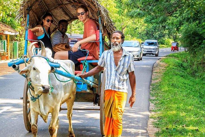 Sri Lanka For Senior Travelers