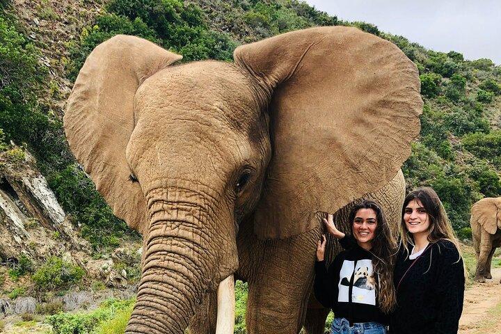 Small Group tour to Stellenbosch with wine tasting