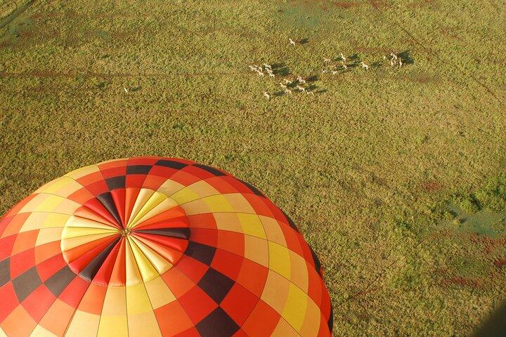 Safari flyvning