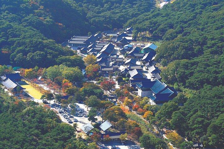 [Hotel pick-up] Busan Privé UNESCO Tongdosa & Gourmet dagtour