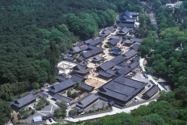 [Hotel pick-up] Busan Privé UNESCO Tongdosa & Gourmet dagtour