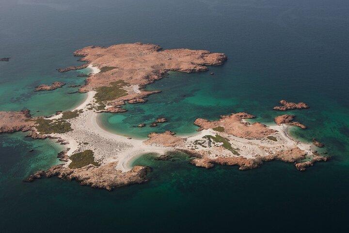 マスカット海の宝石、デイマニヤット諸島
