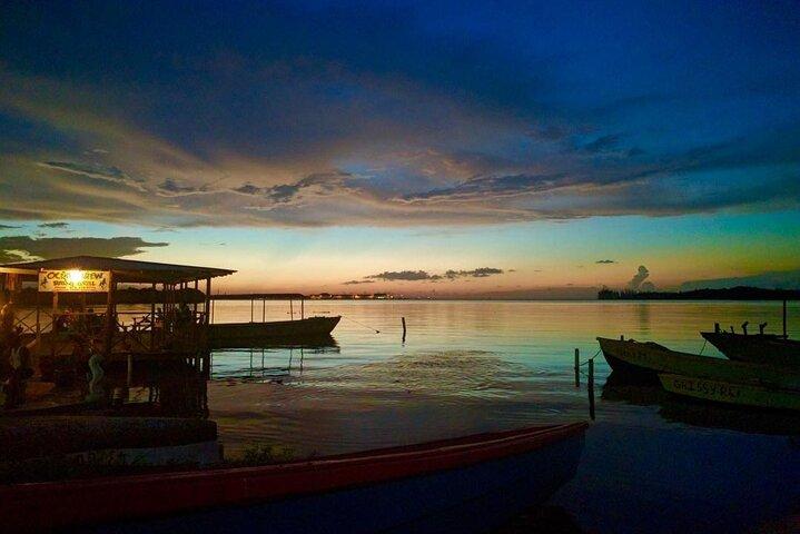 Luminous Lagoon Night Experience vanuit Montego Bay