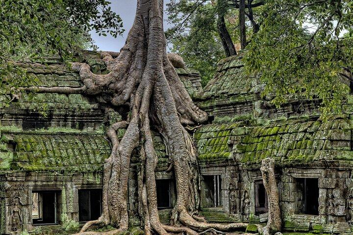 Angkor-templerne fra Sunrise af Tuk Tuk