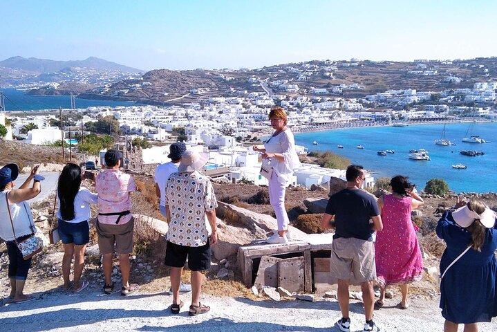 Halvdagars privat guidad tur i Mykonos upp till 6