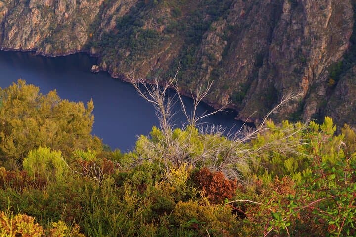 Ribeira Sacra by boat (optional) visit to Ourense from Santiago