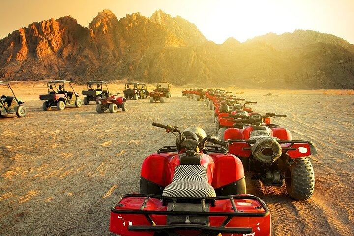 Aventura no deserto de Sharm El Sheikh (5X1)