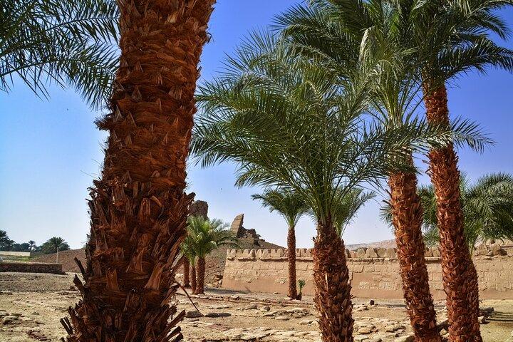 Tour naar Dendera en Medinet Habu
