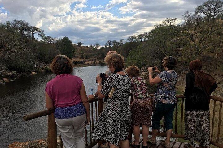 ミクミ国立公園への日帰り旅行：ザンジバルからの飛行機での参加