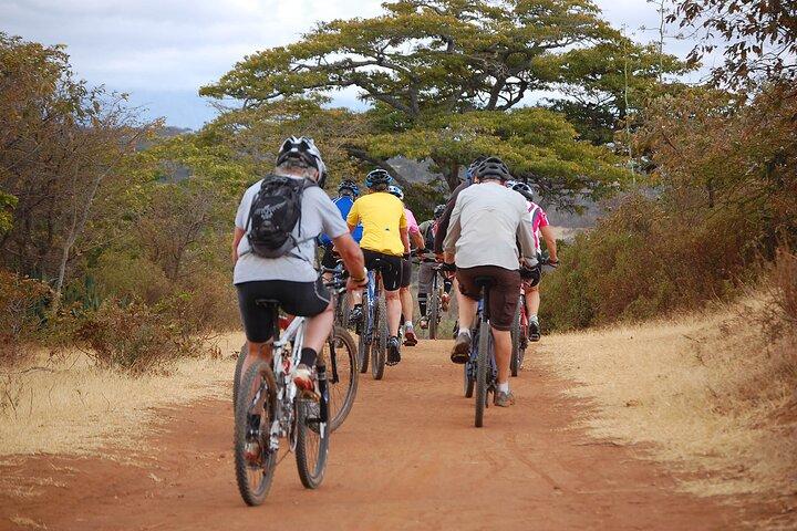 Moshi cykelturer