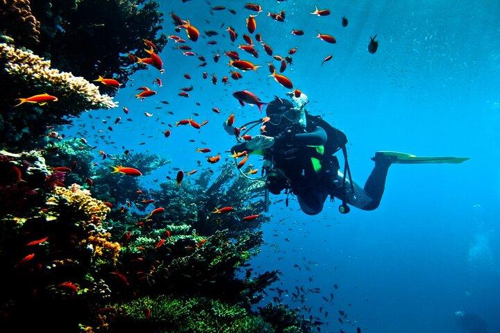 Hurghada Diving Adventure tur