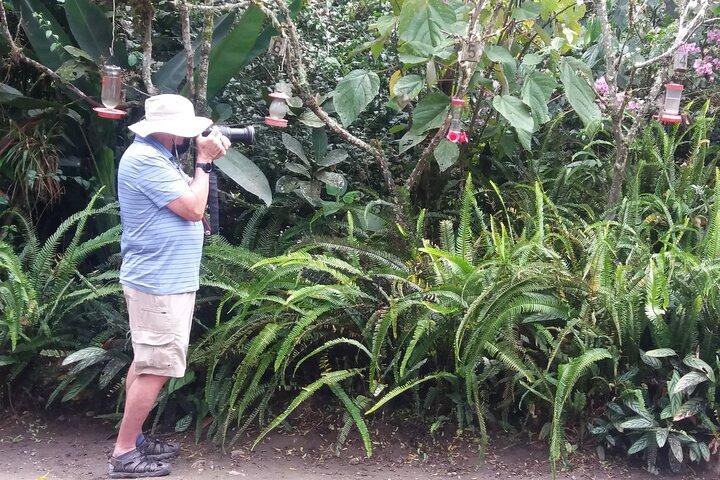 Tour Privado a Mindo con Reserva de colibríes, tarabita y granja de mariposas